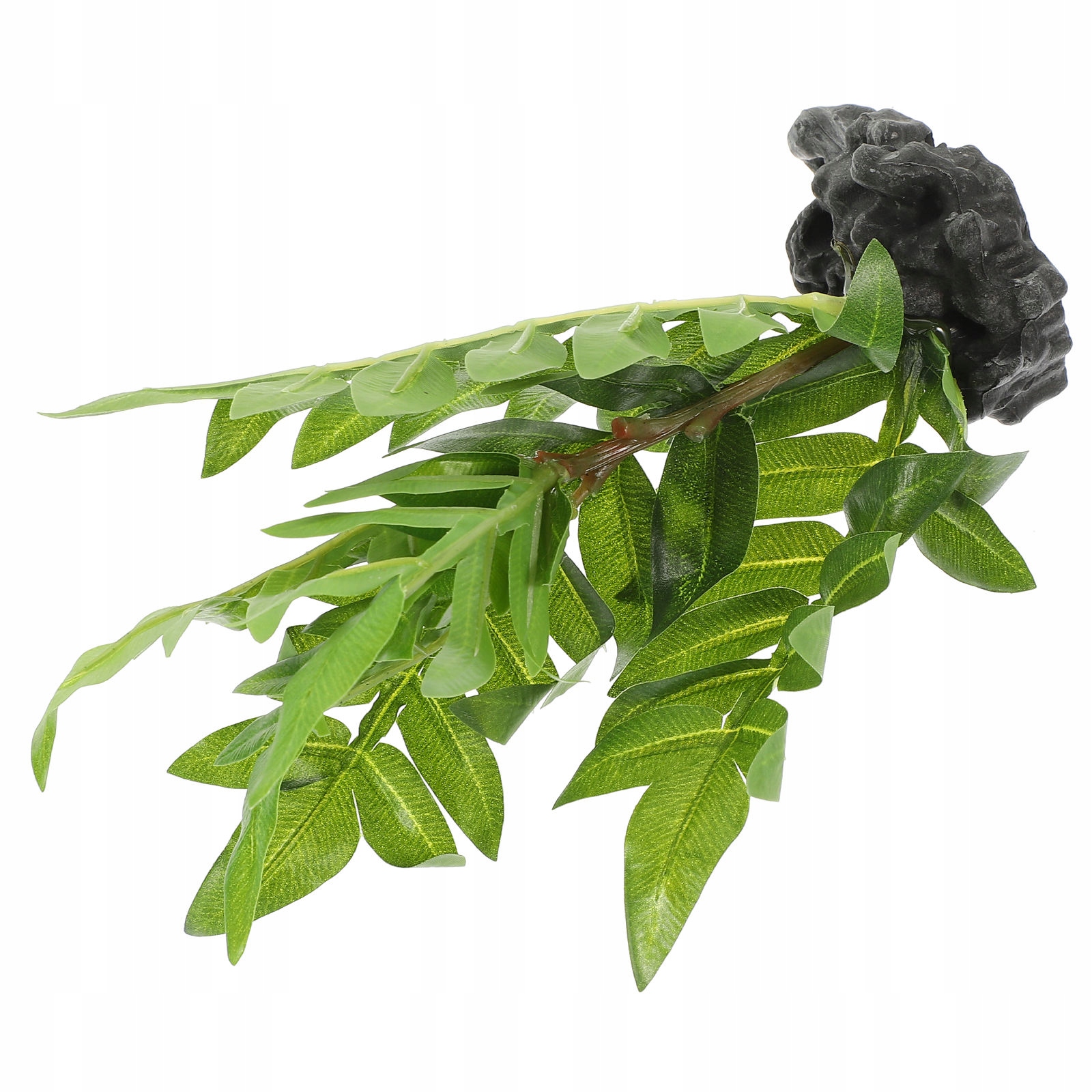 ROŚLINY DEKORACYJNE DO TERRARIUM DLA GADÓW - NATURALNY WYGLĄD