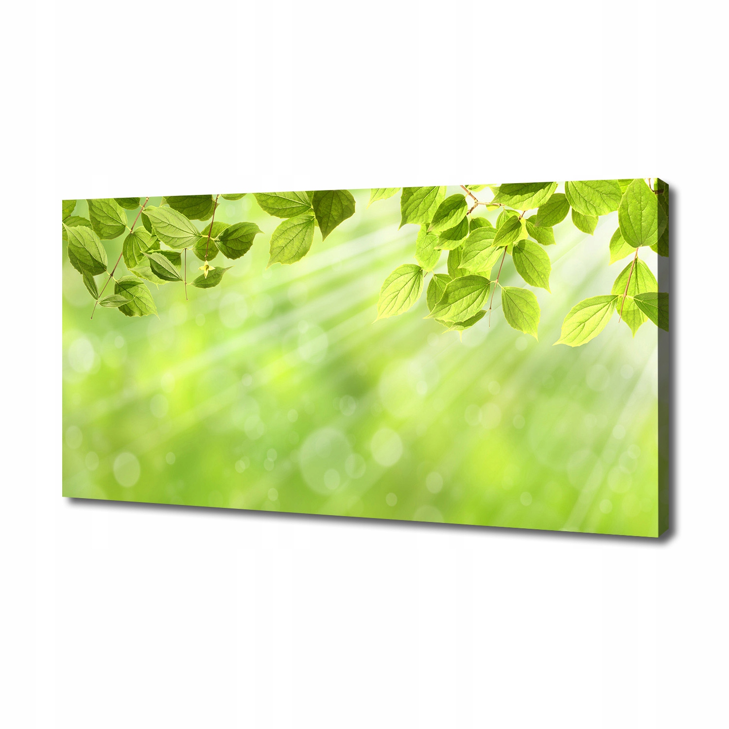 

Foto obraz duży canvas na ścianę Liście 140x70 cm