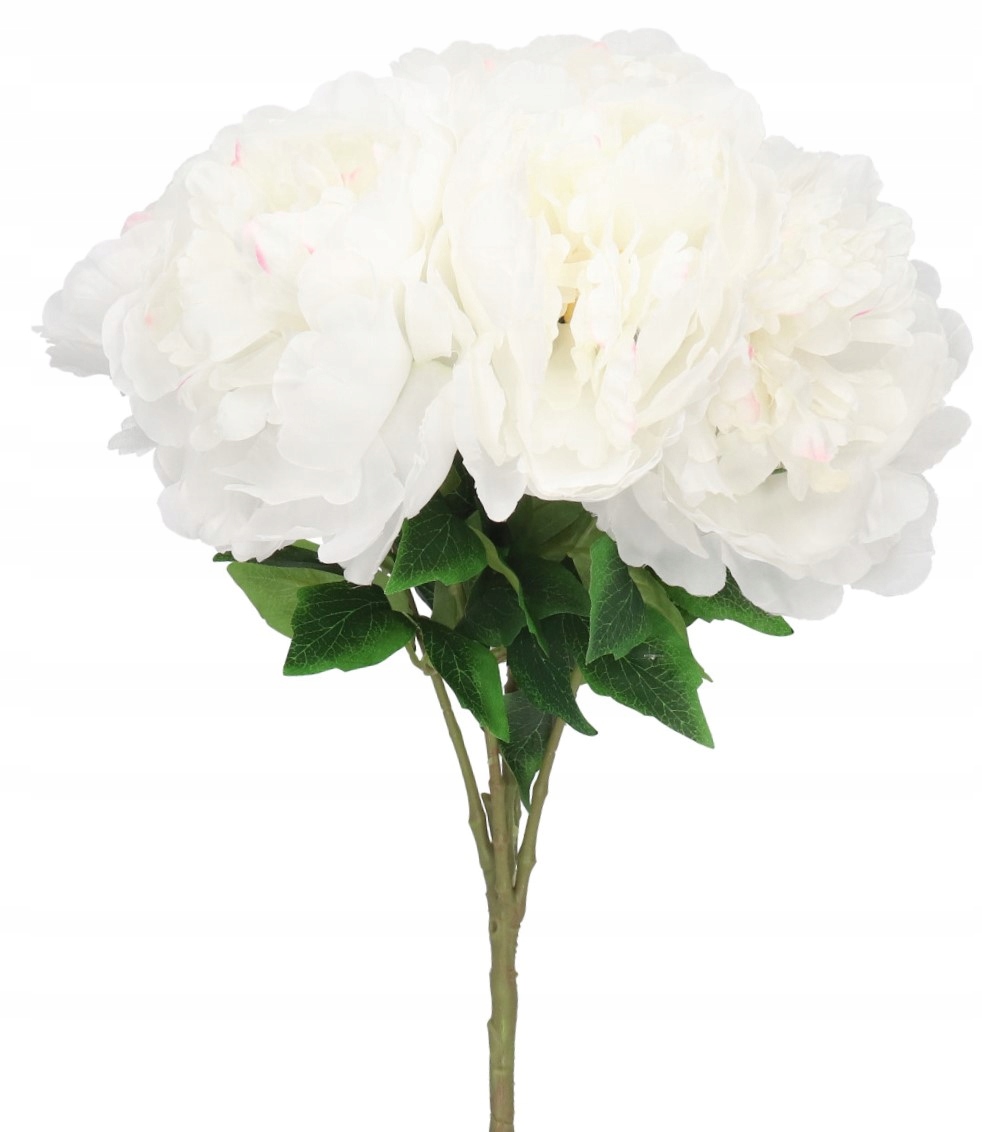 BUKIET KWIATÓW PIWONII PEONII PIWONIA PEONIA 50CM Rodzaj bukiety