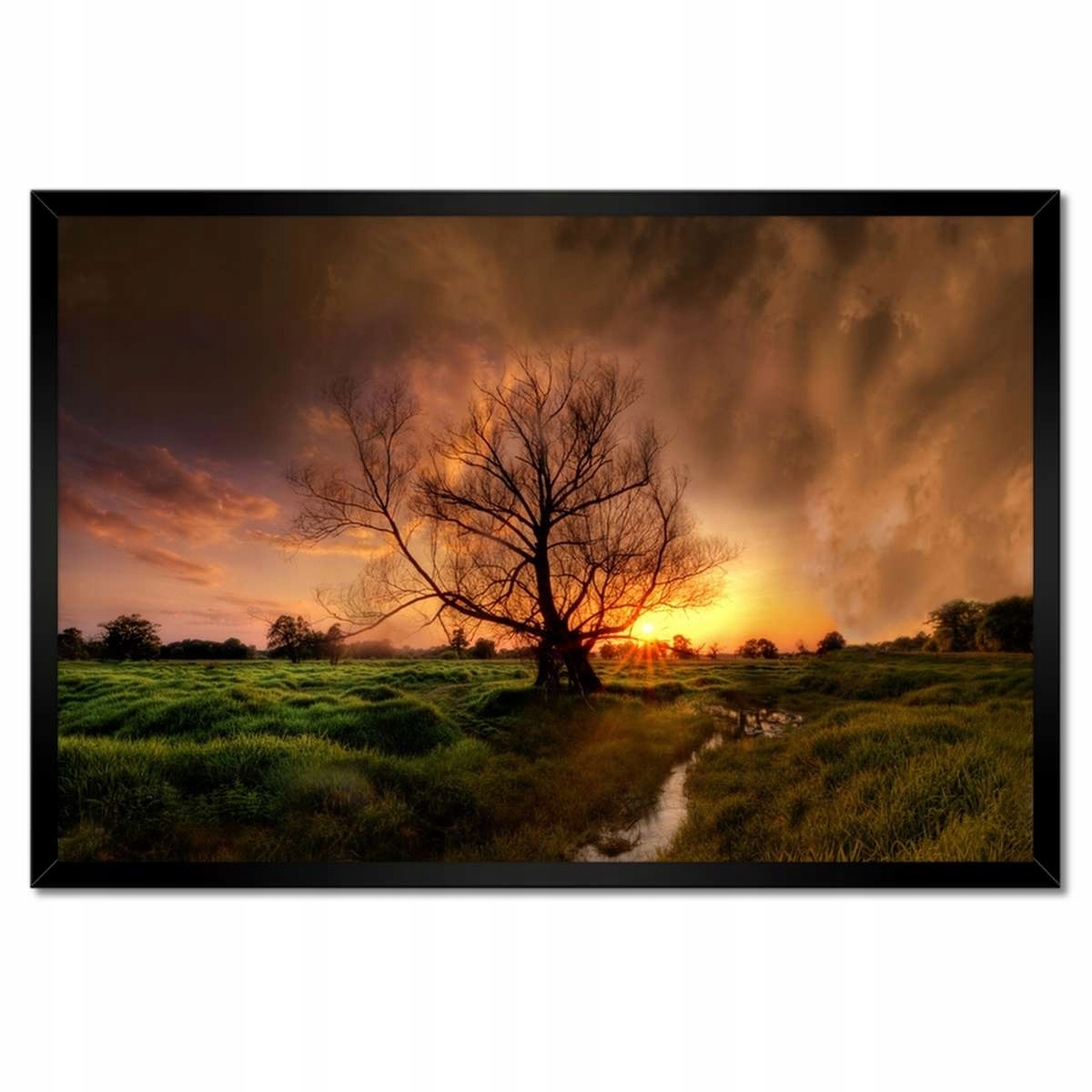 Plakáty v rámu 60x40 Dub v Rogalinu Západ