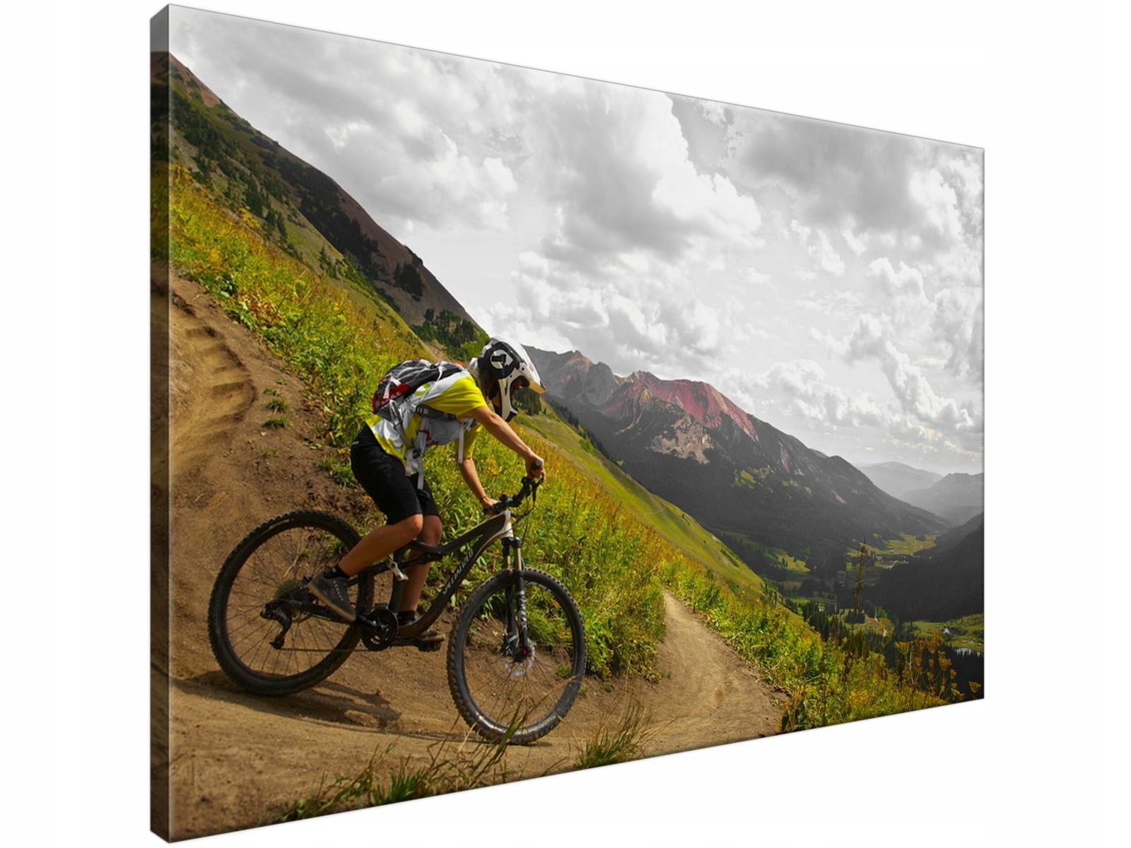 

Obraz drukowany Zjazd na Crested Butte - Zach Disc