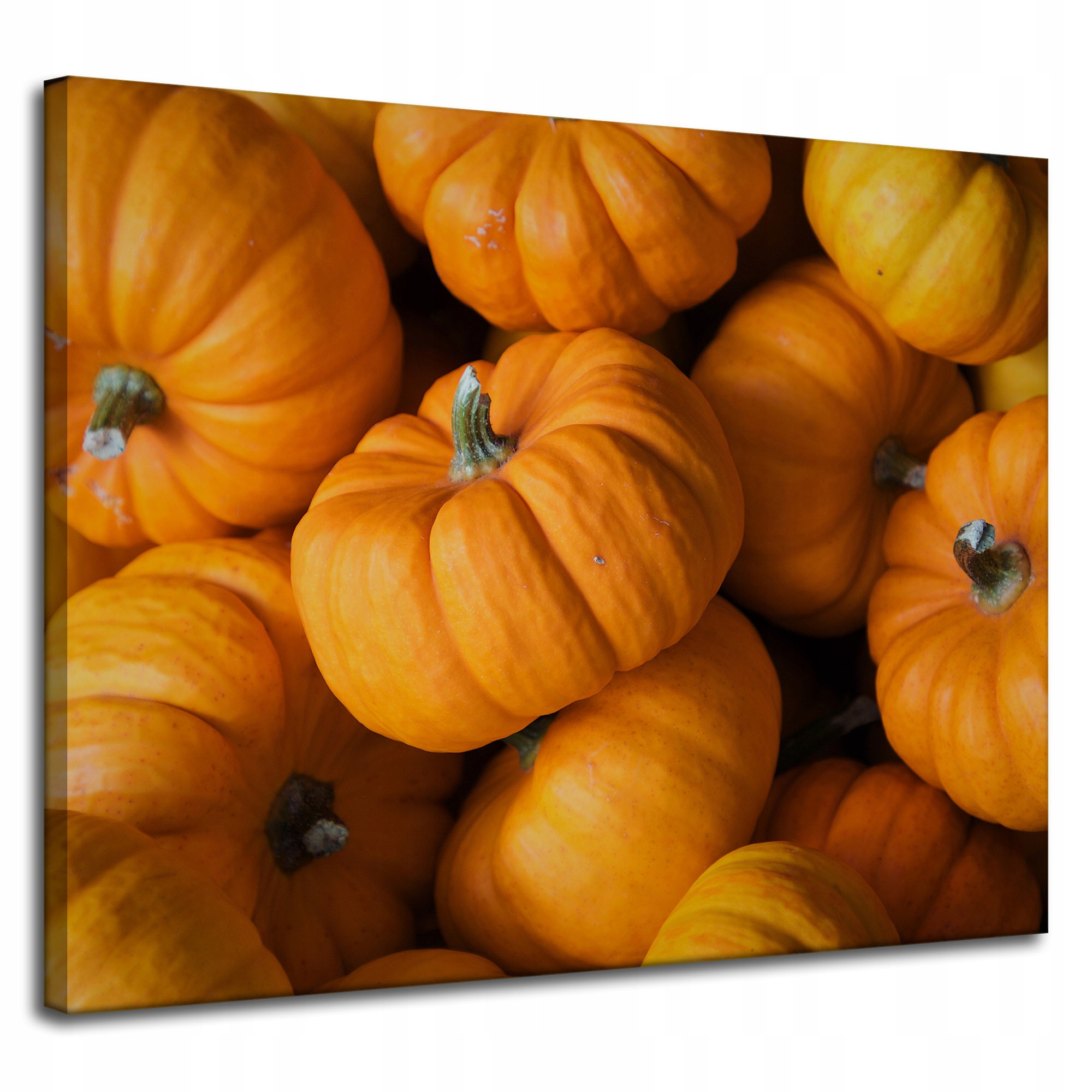 Obraz Canvas Kuchyně Dýně na plátně 100x80 cm
