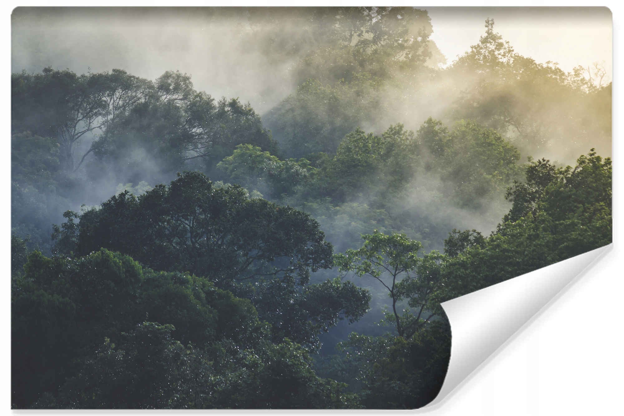 Fototapeta do obývacího pokoje Tropický les v mlze Příroda Krajina 3D efekt 180x120