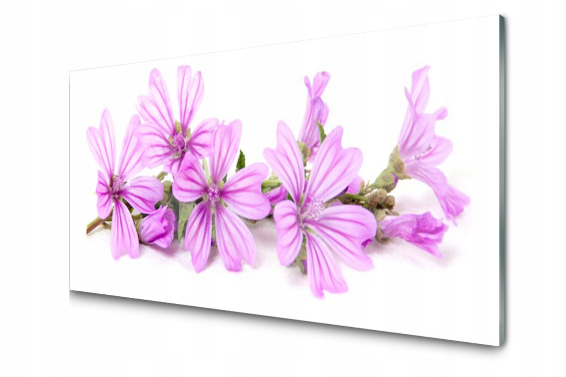 

Panel szklany dekor Kwiaty Roślina 120x60 + Klej
