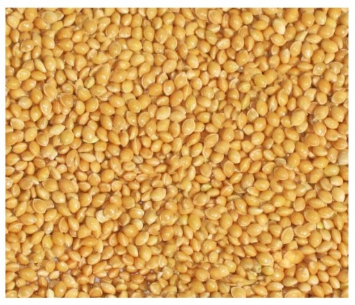 Levně Žluté suché proso pro ptáky přezimující papoušky a exoty 3x5 kg