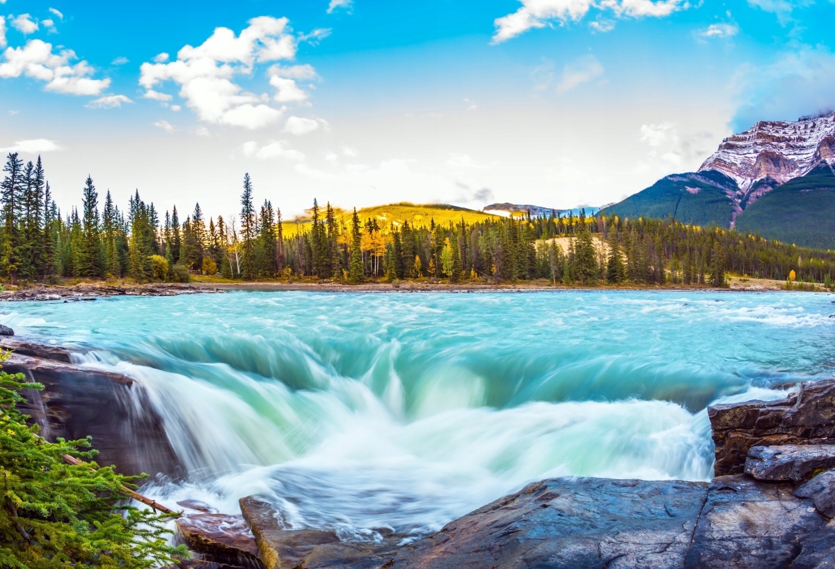 

Tapeta flizelinowa Jasper Park - 104x70