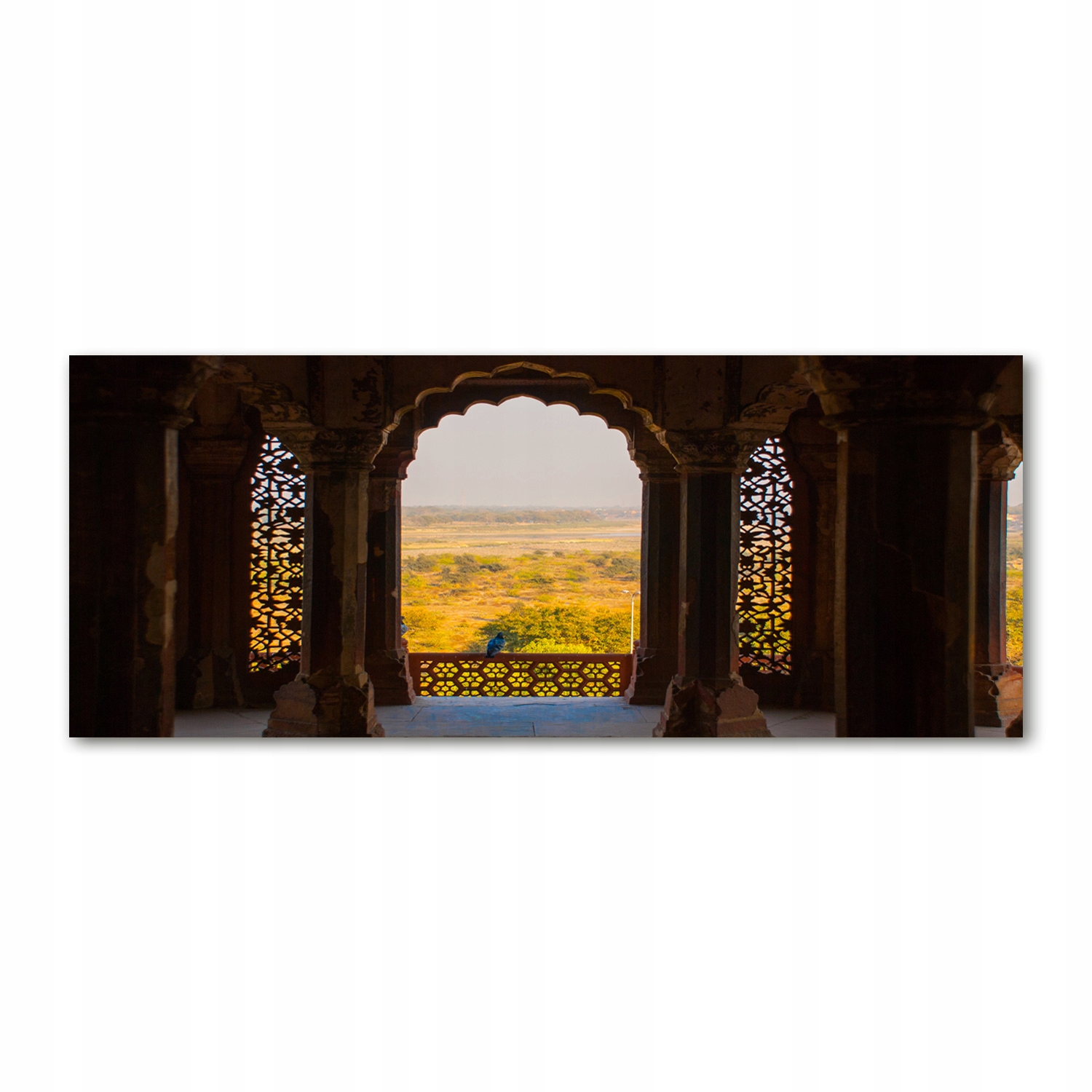 Foto obraz akryl foto Fort Agra Indie 125x50 cm