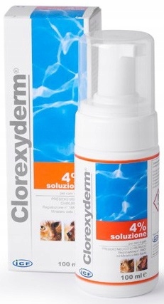 Geulincx Clorexyderm Foam 4% pianka 100 ml