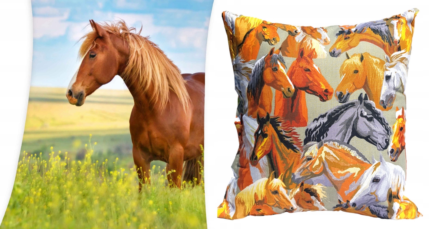 

Kocyk Koc Poduszka Koń Konie Łąka Koniki