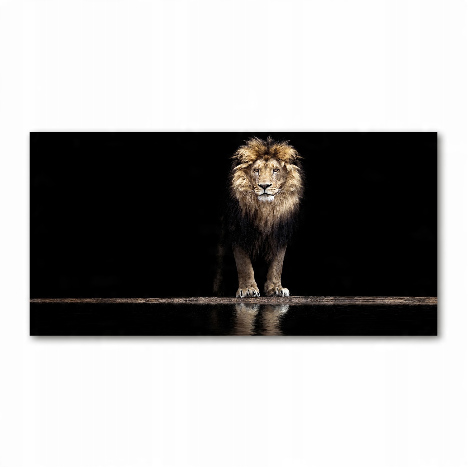 

Foto-obraz akrylowy Portret lwa zdjęcie 140x70 cm