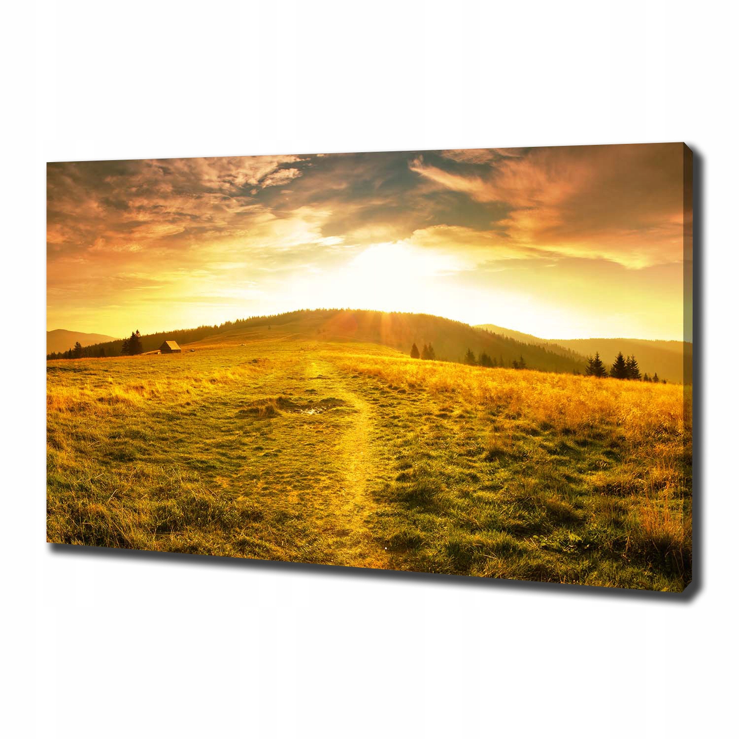 

Foto obraz na płótnie Panorama Tatr 100x70 cm