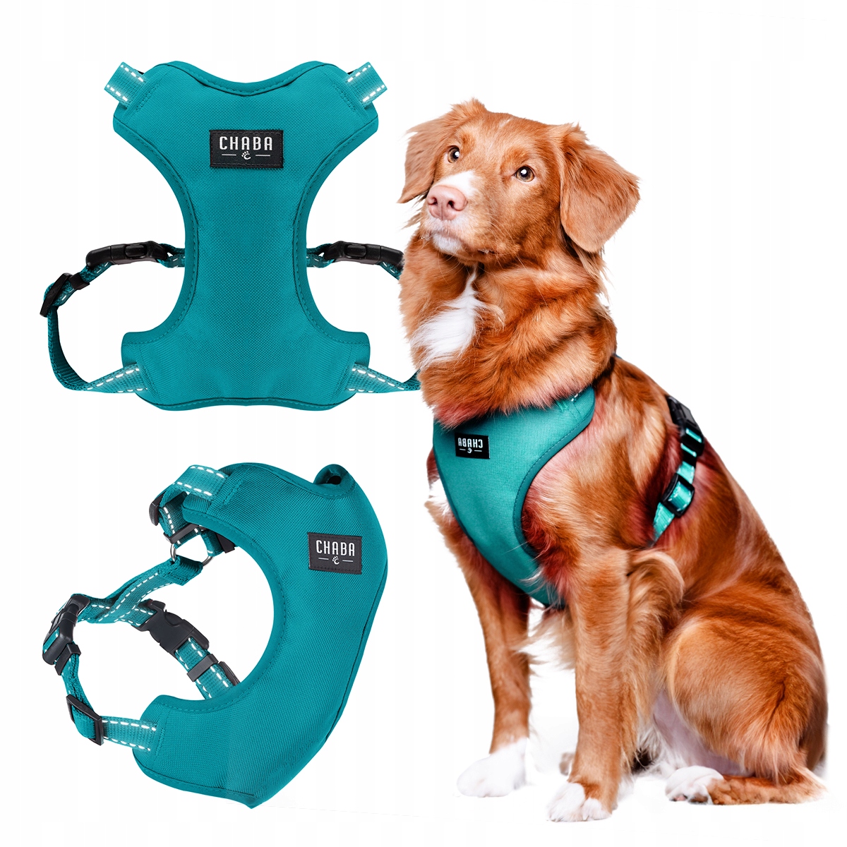 Levně Chaba Postroj Guard Comfort L 2,5cm/52-64cm Mořský