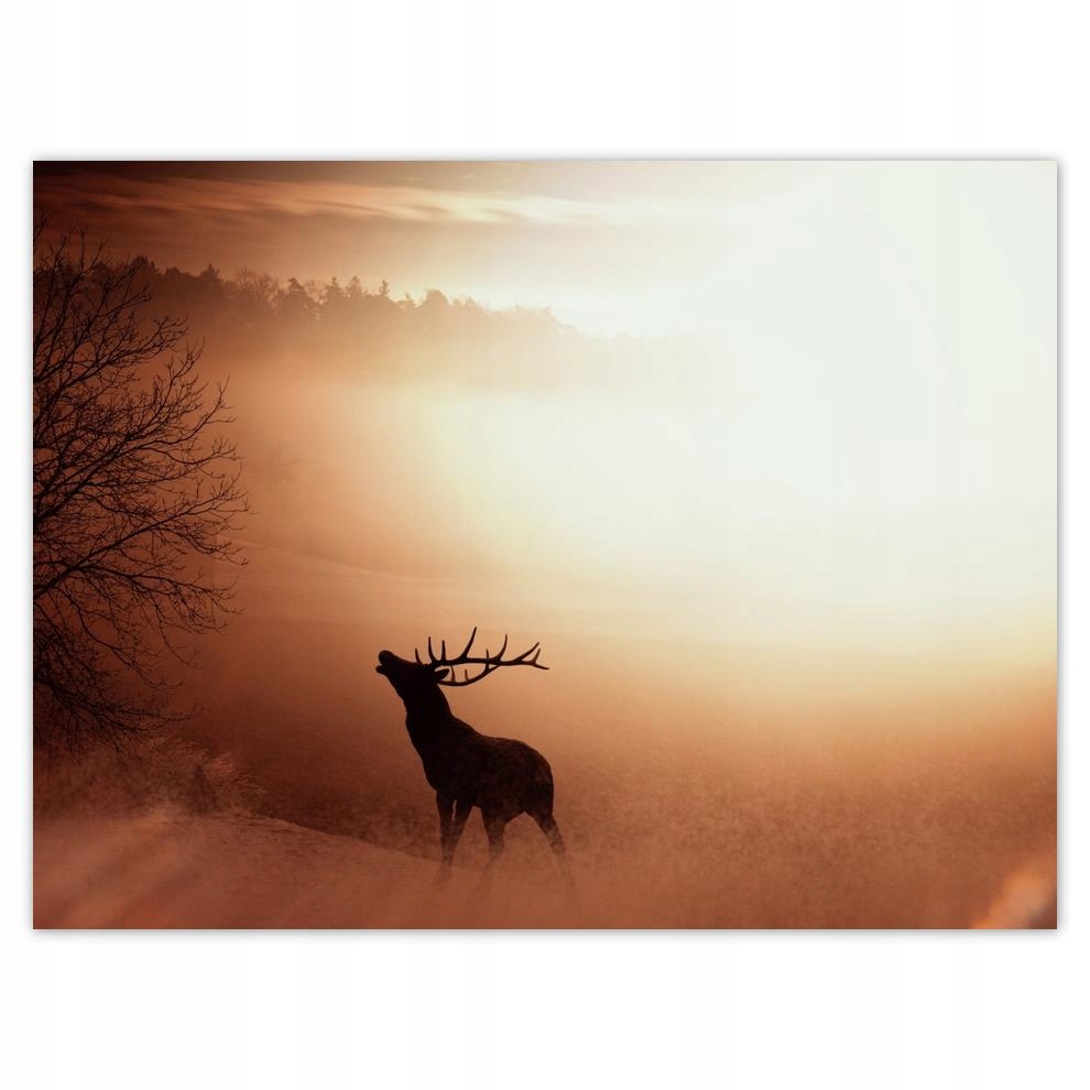

Plakat 40x30 Jeleń na skraju lasu