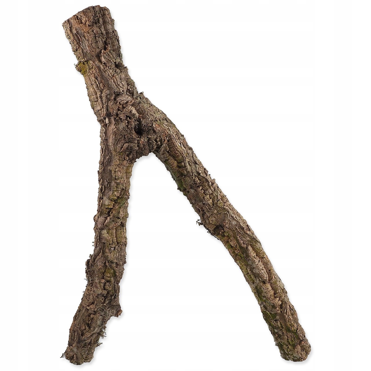 Levně Dekorace Repti Planet Korková větev M 30-60 cm