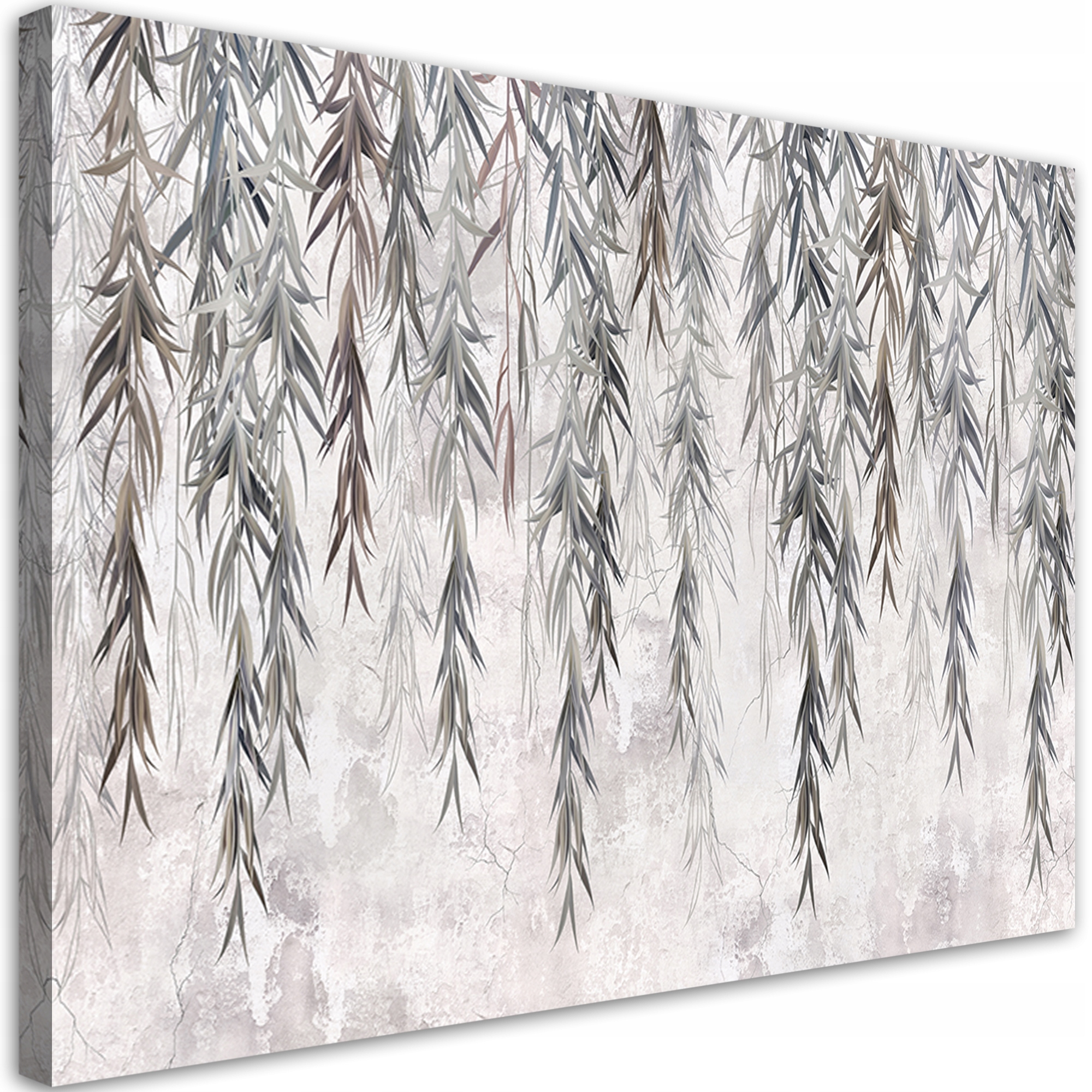 Obraz na plátne, Tropické rastliny v šedej farbe na betóne 120x80