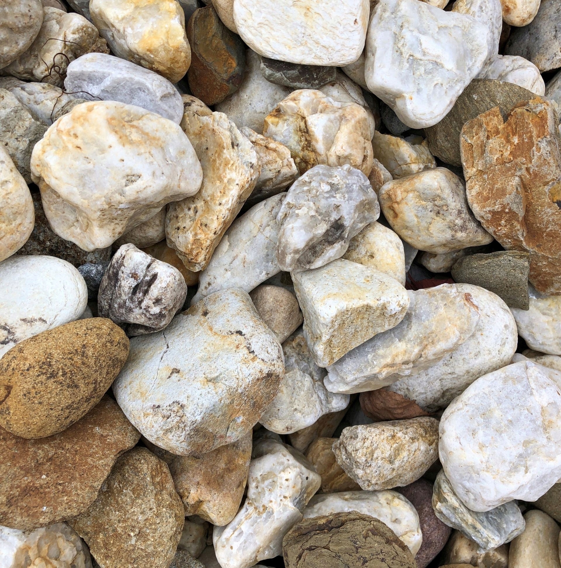 

Biovita Otoczak Żwir Antyczny 30-60mm 20kg