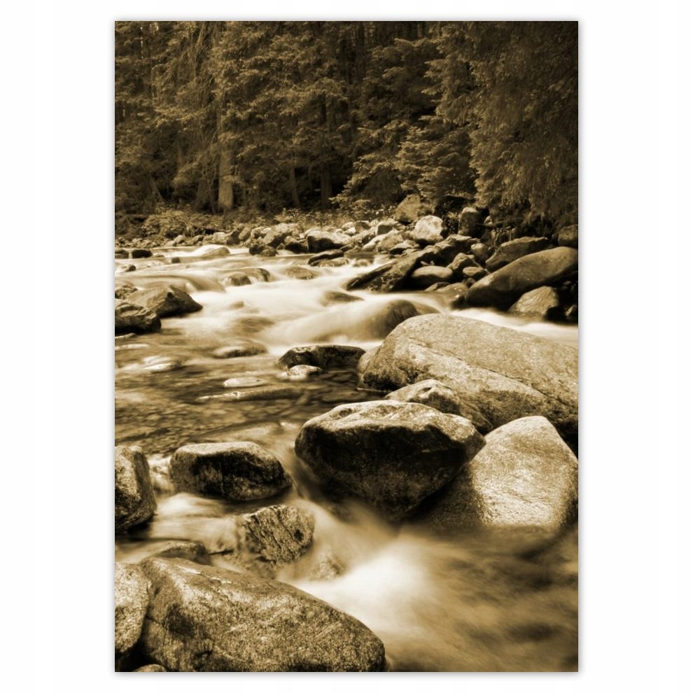

Naklejki 50x70 Tatry Polskie góry Widok