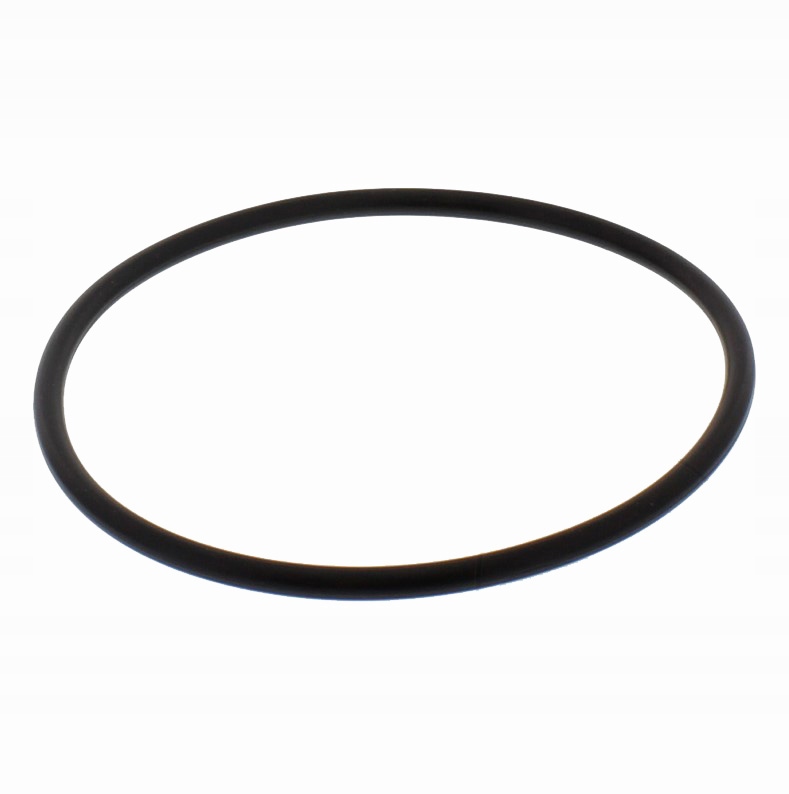 USZCZELKA O-RING MODUŁU POMPY PALIWA BMW R850 R1100 R1150 R1200