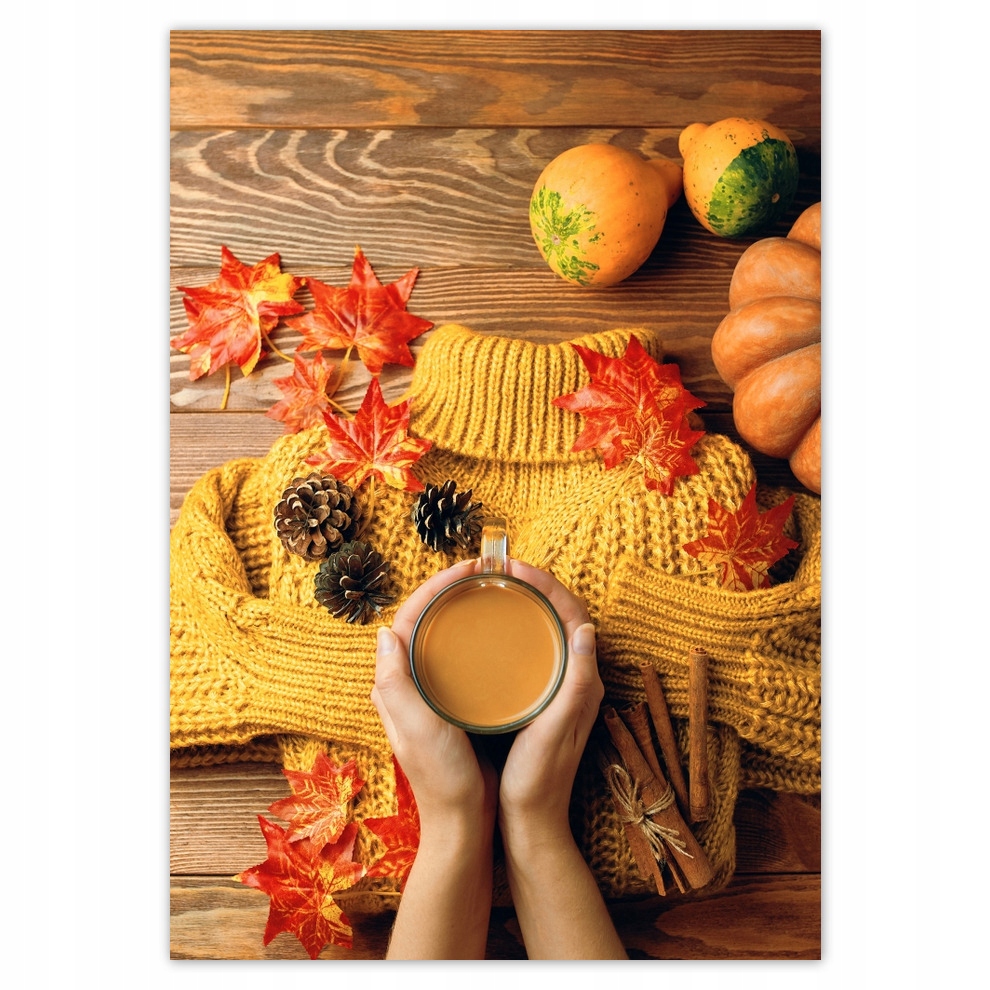 

Naklejki 70x100 Jesieniara czy Dyniara