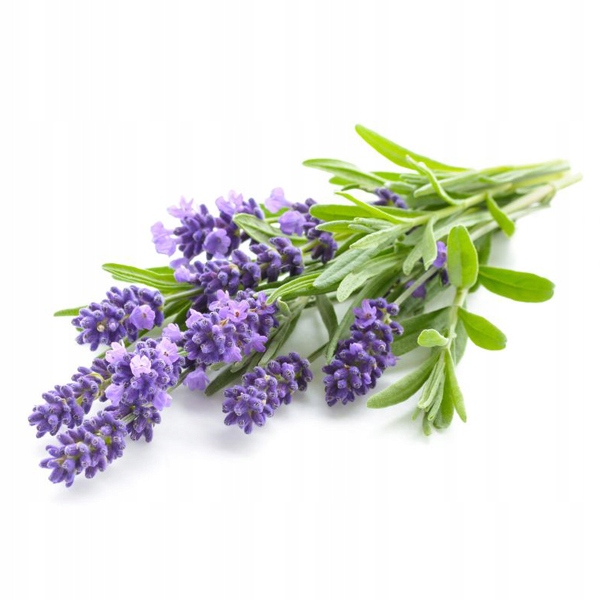 SÓL EPSOM DO KĄPIELI STÓP Z OLEJKIEM LAWENDOWYM Marka Vitafarm