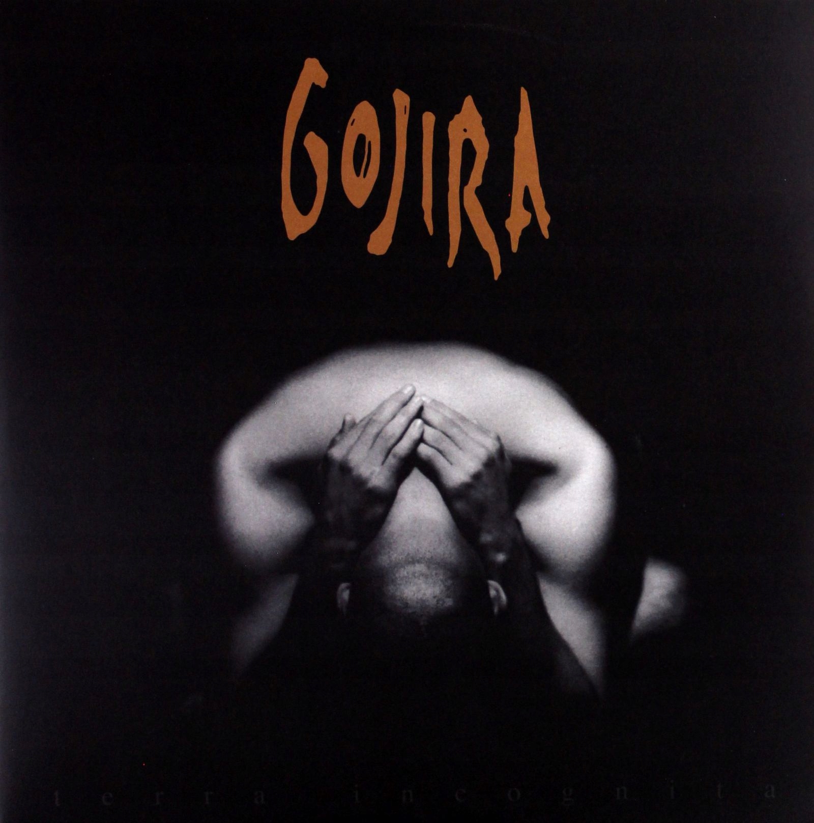 

Gojira: Terra Incognita (2XWINYL)