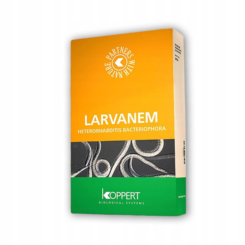 

Larvanem 50 mln nicieni Na Opuchlaki, Pędraki