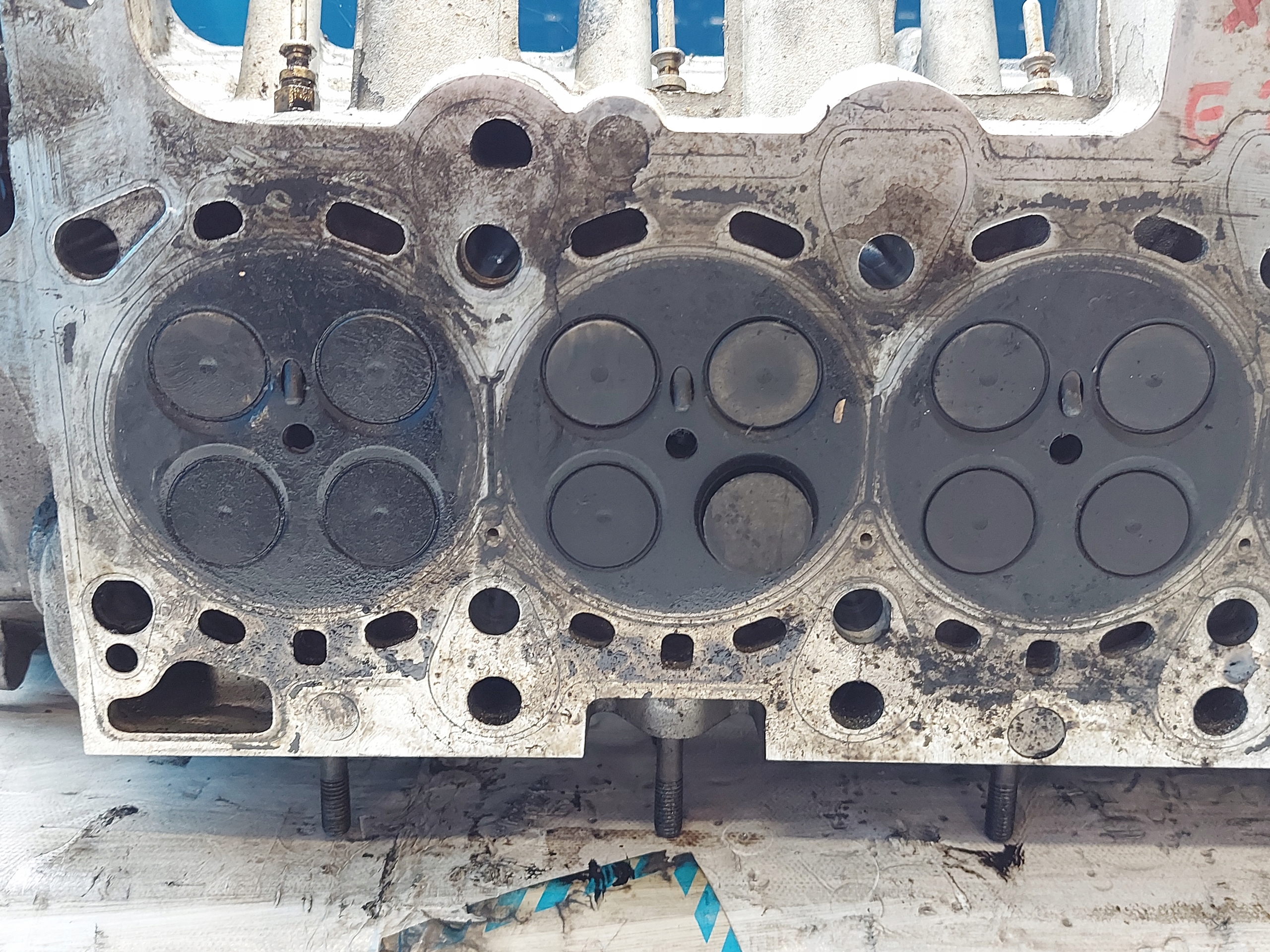 TESTATA BMW E53 X5 M57 3.0 TD 22468759
