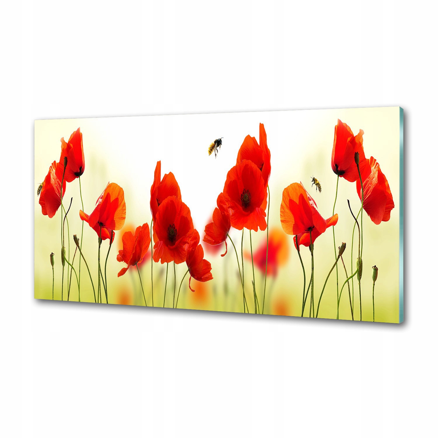 Sklenený panel do kuchyne Maki 120 x 60 cm Lepidlo