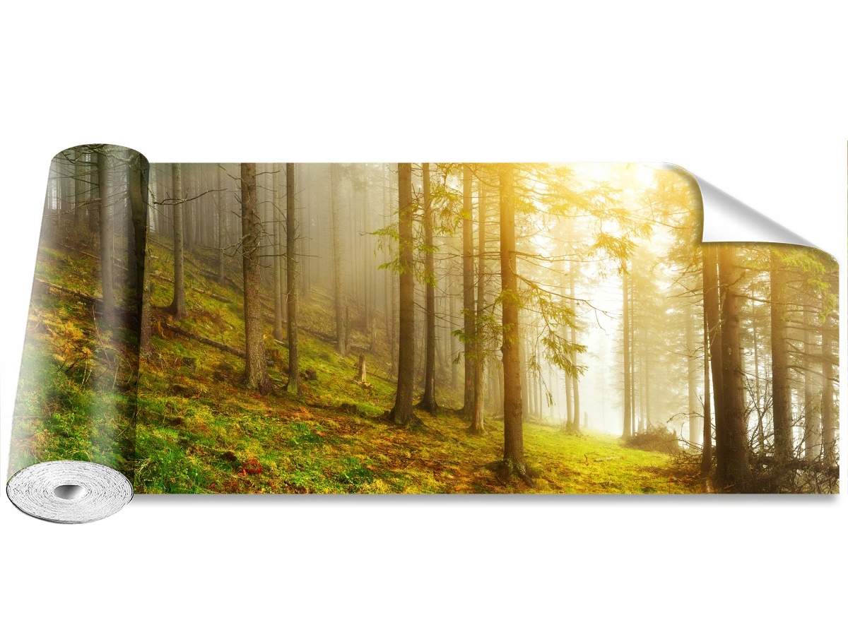 

Tapeta Samoprzylepna MagicStick Las 250x104