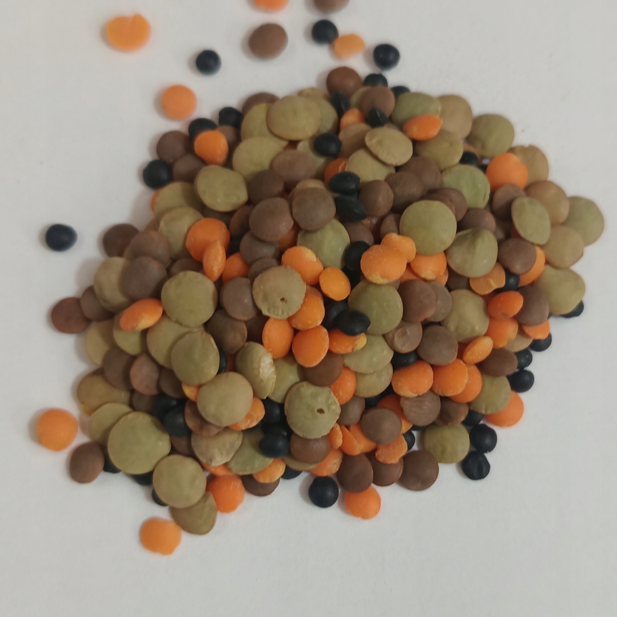 Levně Čočka Barevná 4 Barvy 1 Kg Rafex