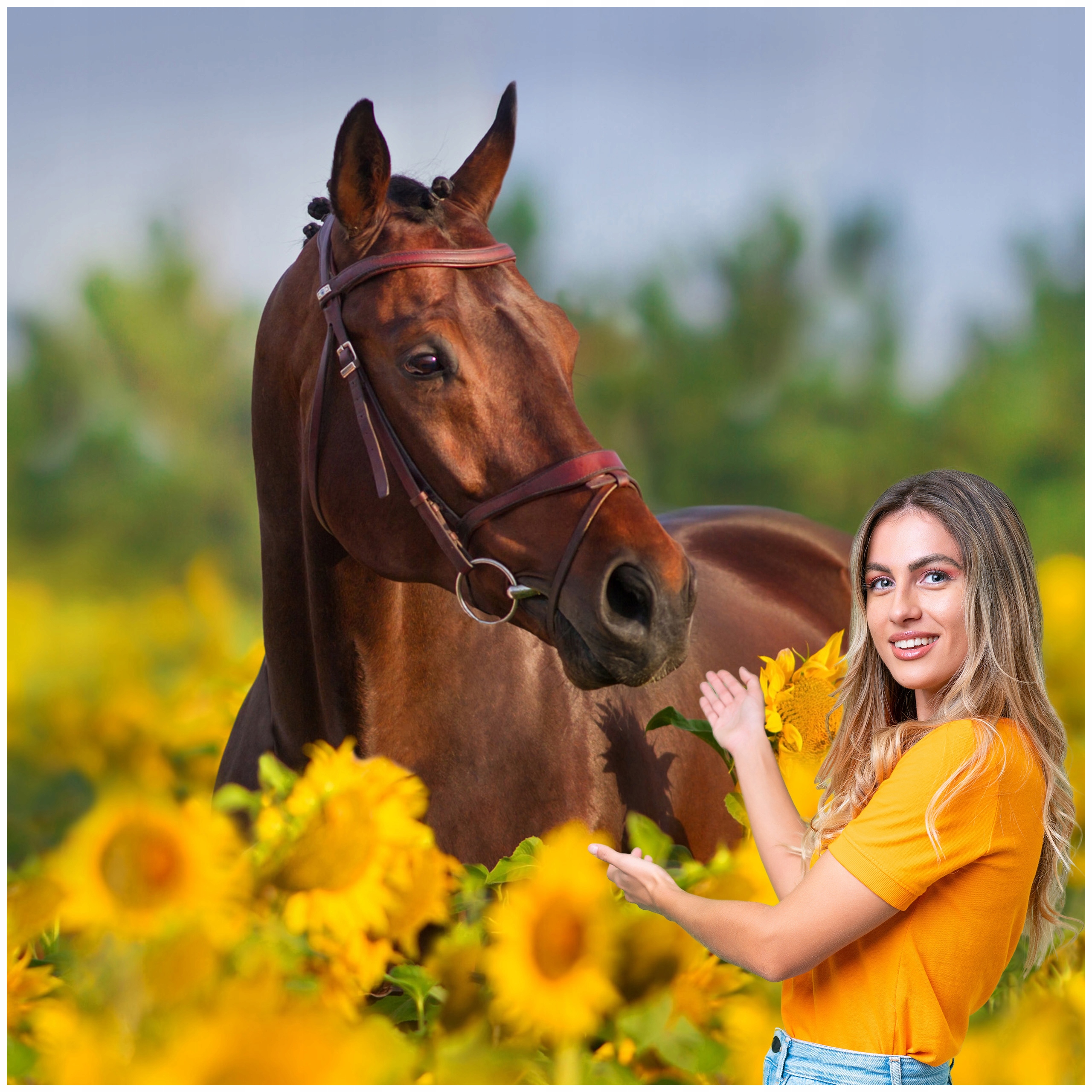 Fototapeta 3D Zvířata Kůň Koně 196x260 KK03F