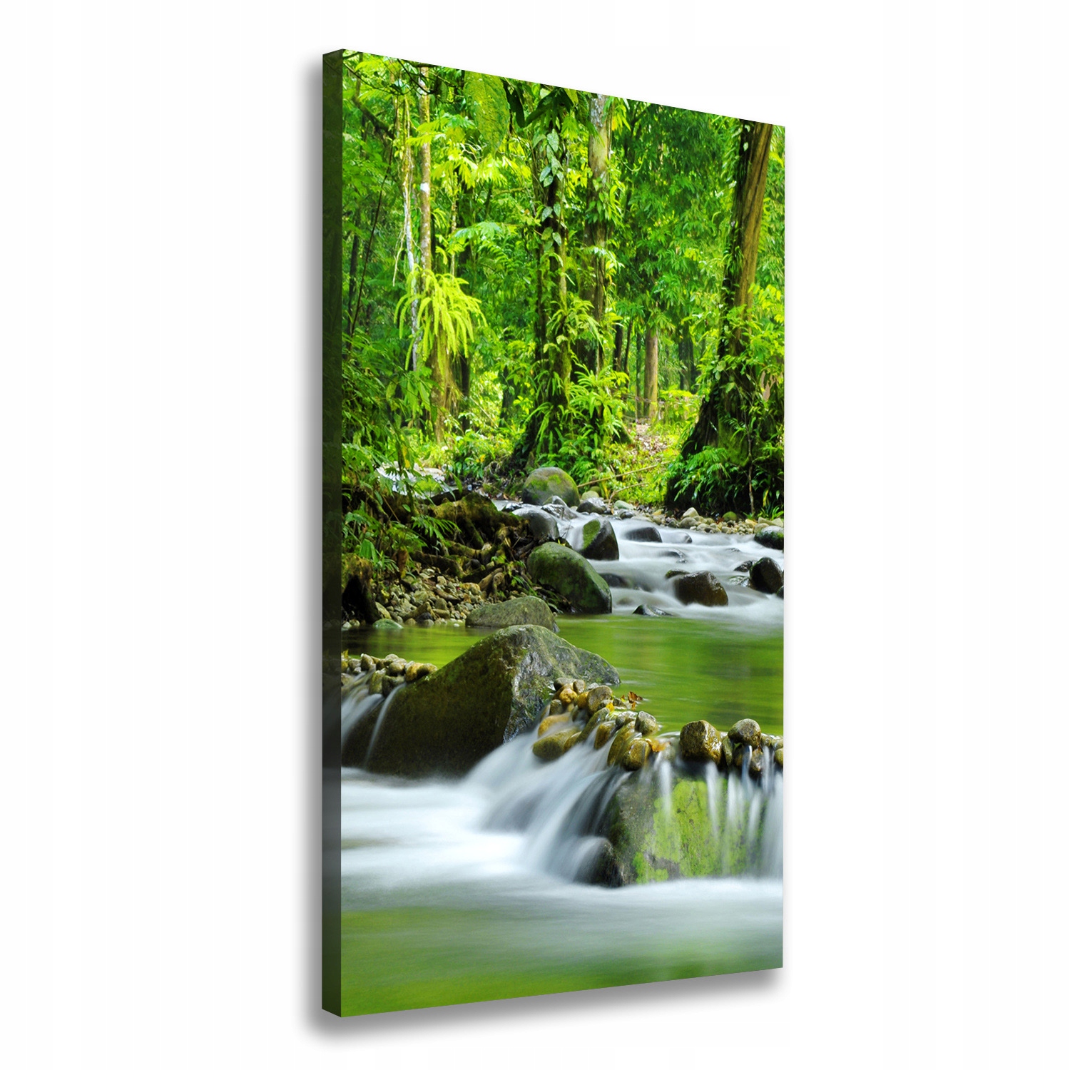 

Foto obraz canvas do salonu Potok górski 60x120