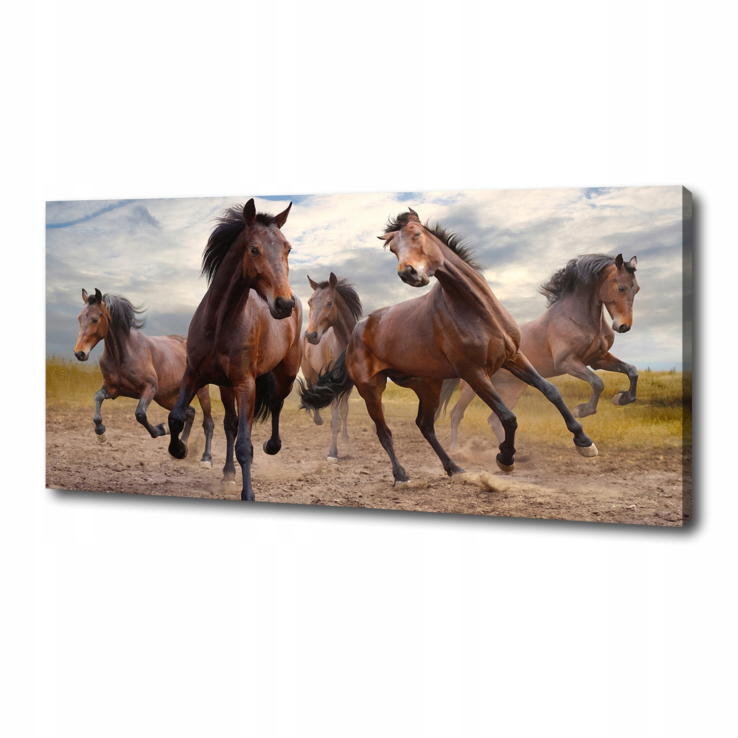 

Foto obraz canvas na ścianę Pięć koni 125x50 cm
