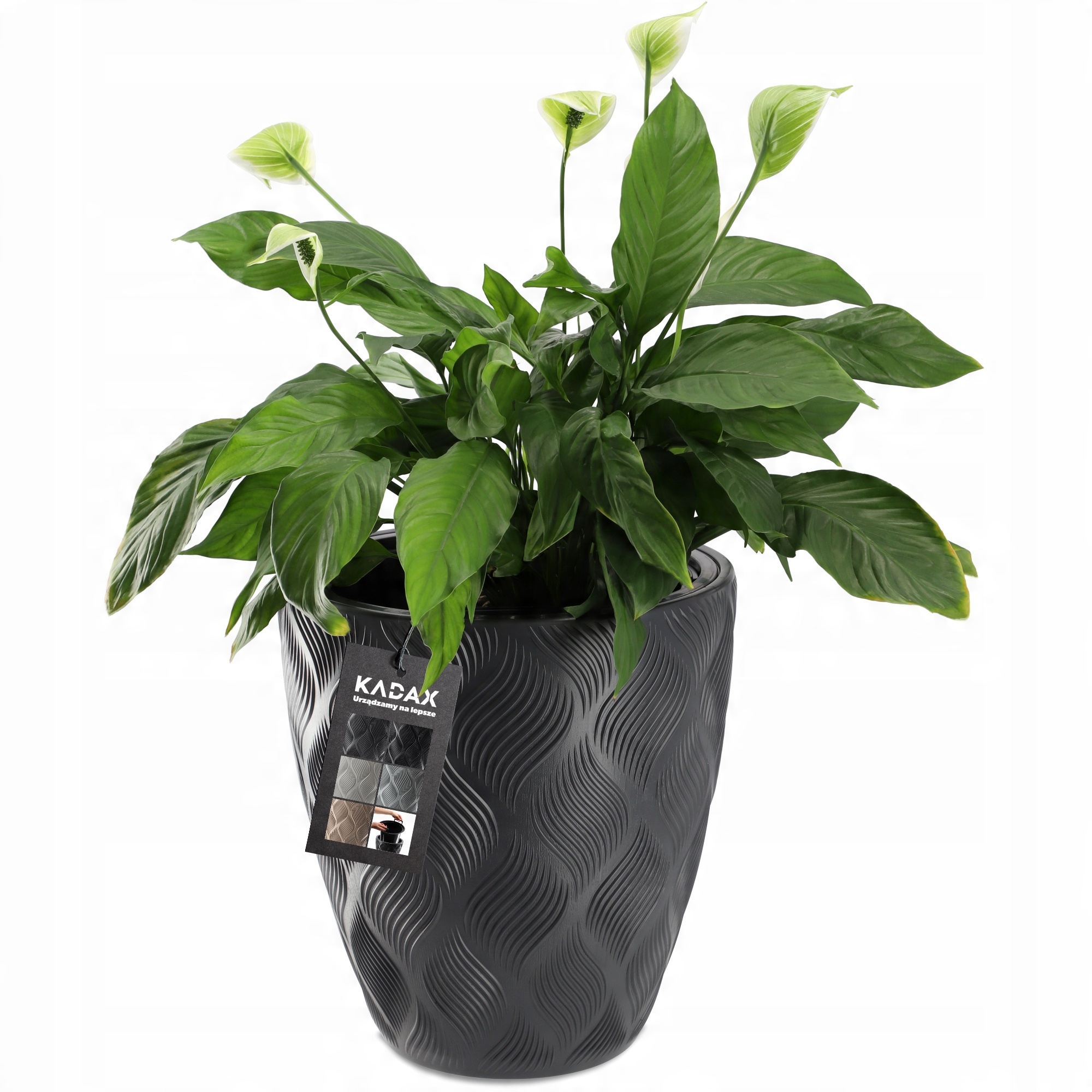 

Doniczka Donica Z Wkładem Ogrodowa Antracyt 42cm