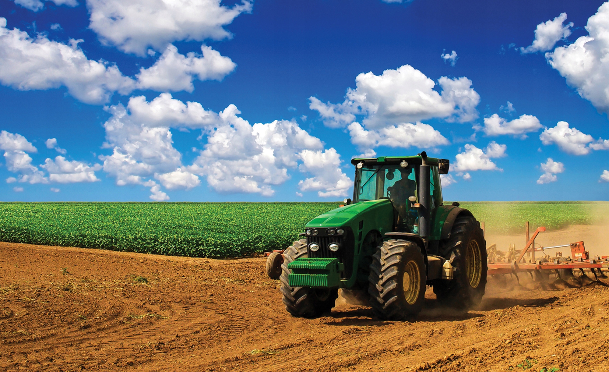 

Fototapeta Traktor Ciągnik Dla Dzieci XXL 254x184