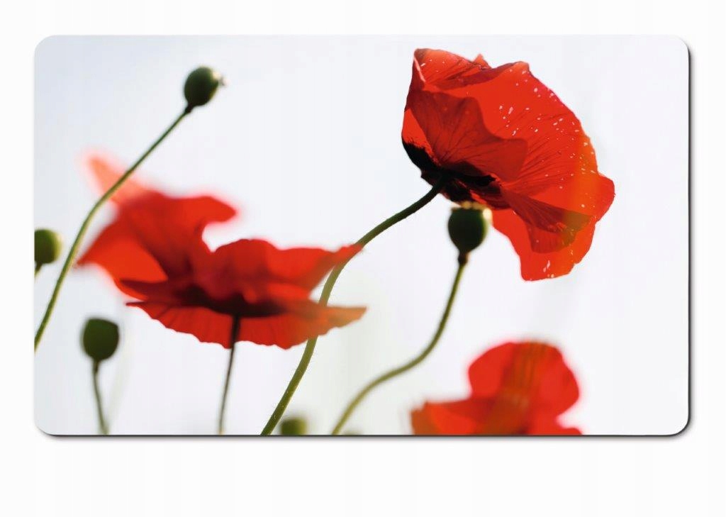 

Deska śniadaniowa Classic, wzór Corn poppies