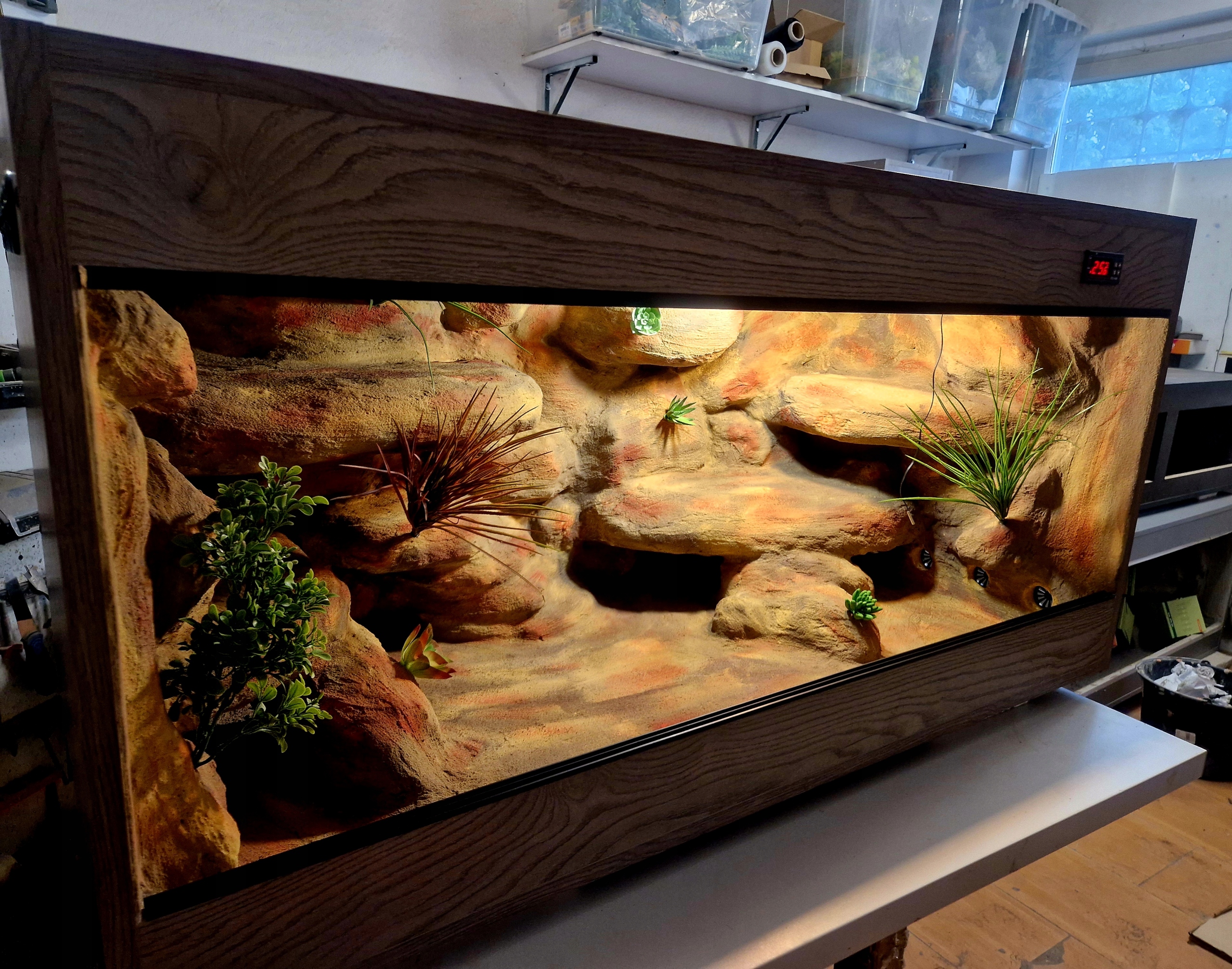 Pouštní Terárium Pro Trpasličí Agámu Objednávka 120x40x60 Na Objednávku