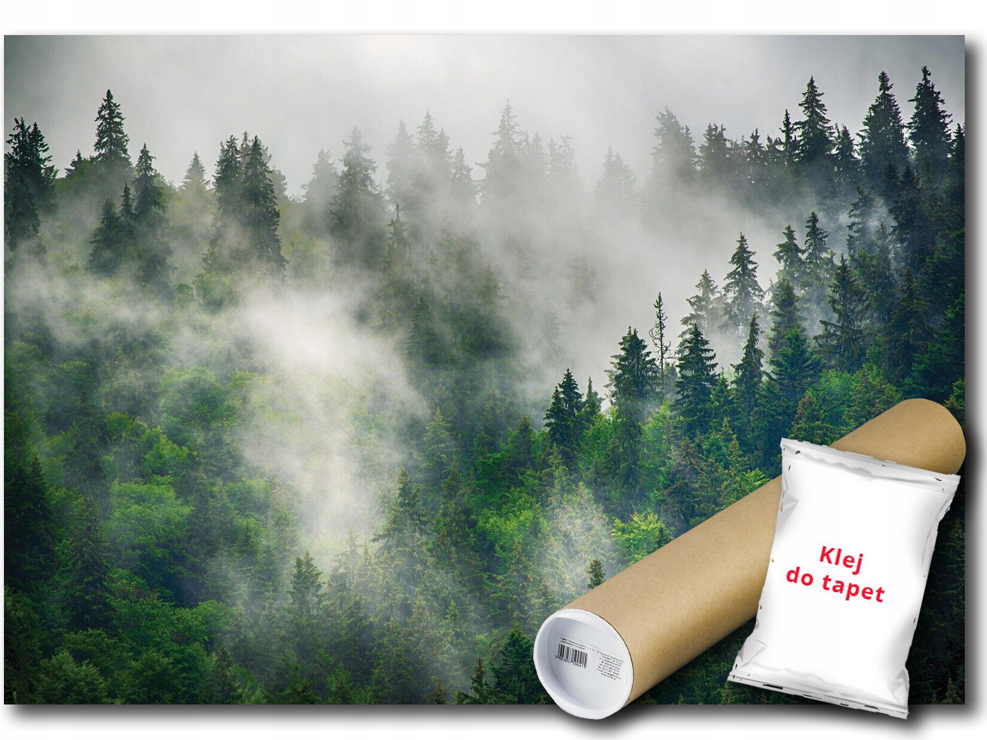 Vinylová Fototapeta Les Hmla Hory Krajina 416x254 cm