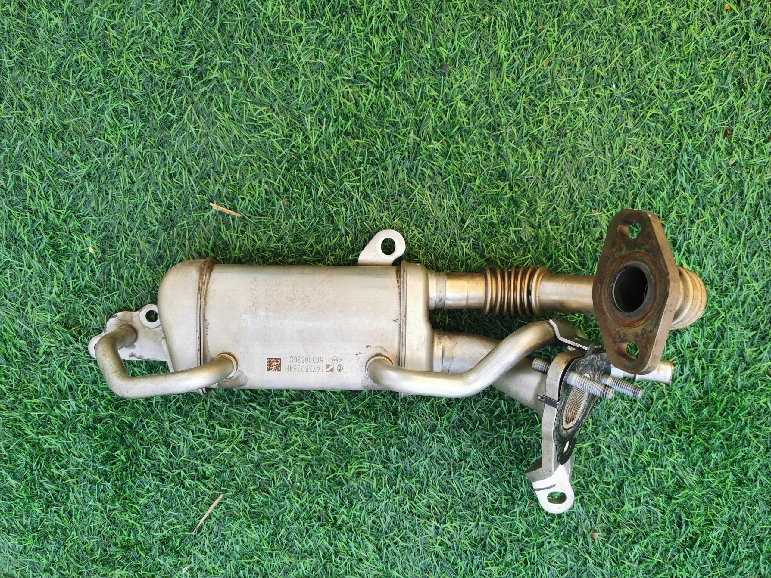 RENAULT KANGOO 1.5 DCI radiatore / raffreddatore EGR 147350364R originale !