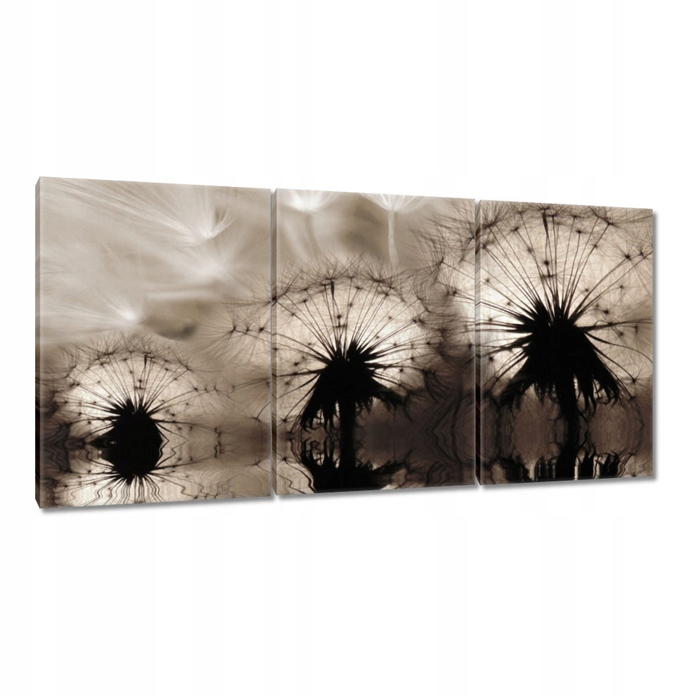 

Obrazy 240x120 Dmuchawce latawce w sepii