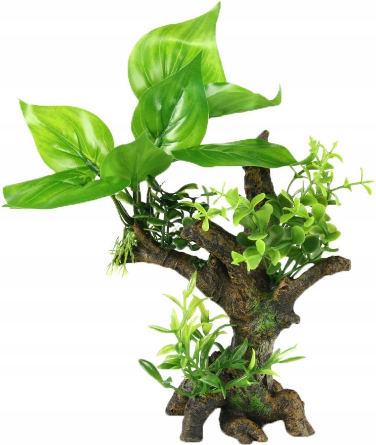 Levně Aqua Della Umělý kořen s rostlinami 234-432112