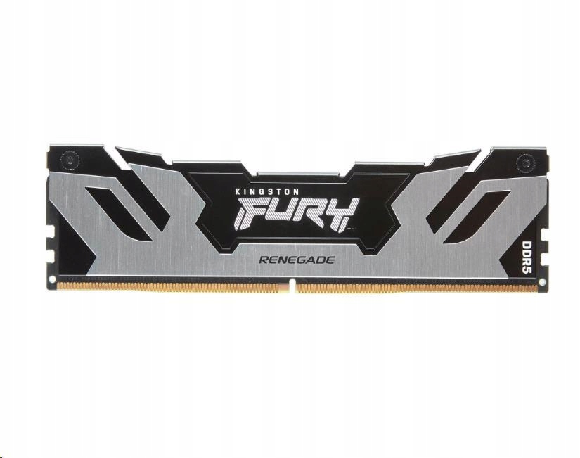 Kingston DIMM DDR5 16GB 6400MT/ s CL32 Fury Renegade Stříbrná KF564C32RS…