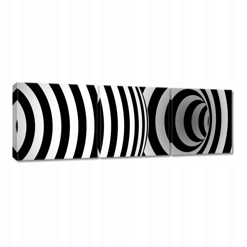 

Obrazy 120x40 Abstrackja czarnobiała
