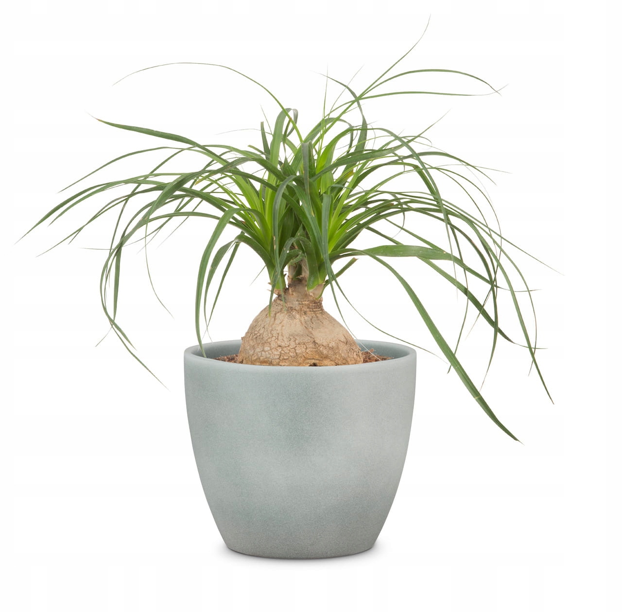 

Kamienna osłonka na doniczkę Scheurich szara 19 cm