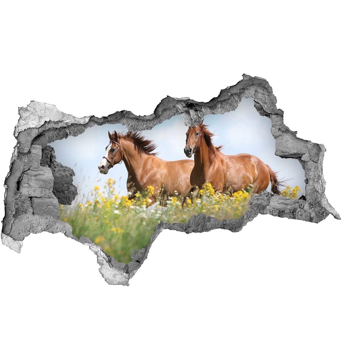 

Dziura 3d fototapeta Dwa konie w galopie 115x88
