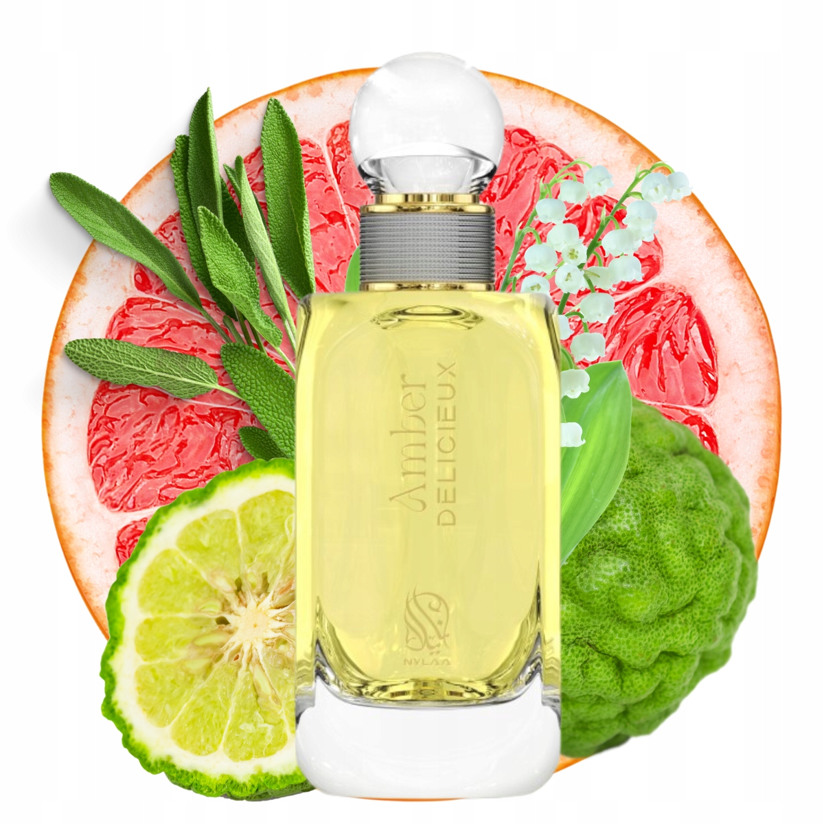 Pánský arabské parfémy , Nylaa Amber Deliceux Edp 100 ml