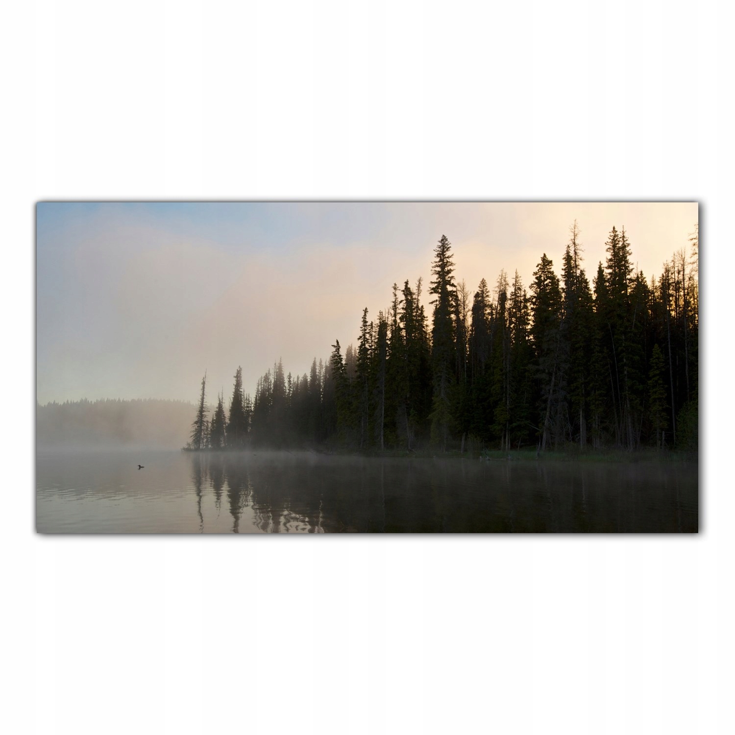 Kanada Pták Jezero 100x50 Panel tvrzené sklo