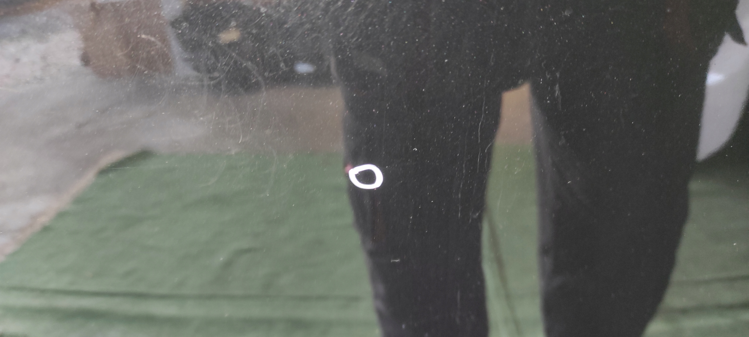 AUDI Q5 80A Maska Lubań Jakość części (zgodnie z GVO) O - oryginał z logo producenta pojazdu (OE)