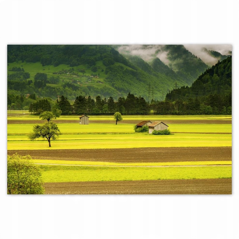 

Plakaty 60x40 Zielone łany