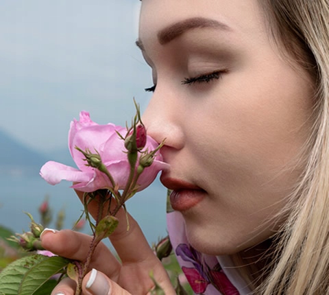 ROSENSE Nawilżający Krem Przeciwsłoneczny 50 SPF Marka inna marka